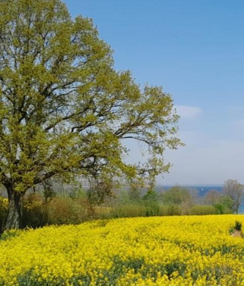 Wikingerland Langballig